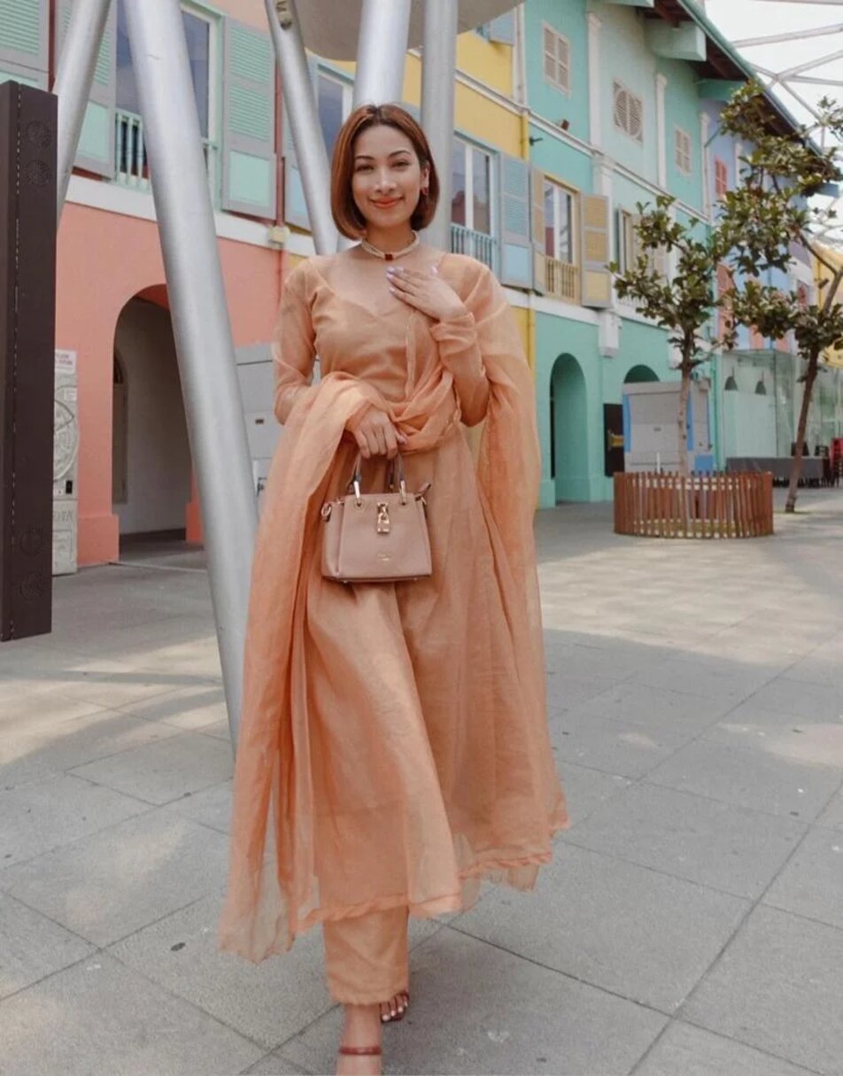 Light Brown Organza Suit