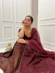 Brown Embroidered Lehenga 4