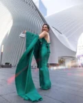 Green Pleated Saree 3