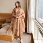 Brown Organza Suit 1