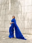 Roasted Blue Pleated Saree 2
