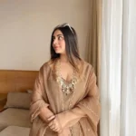 Brown Organza Suit 2
